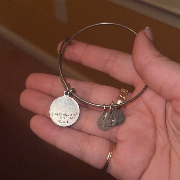 Alex and ani Eye of Horus Silver Bracelet - Picture 4 of 4